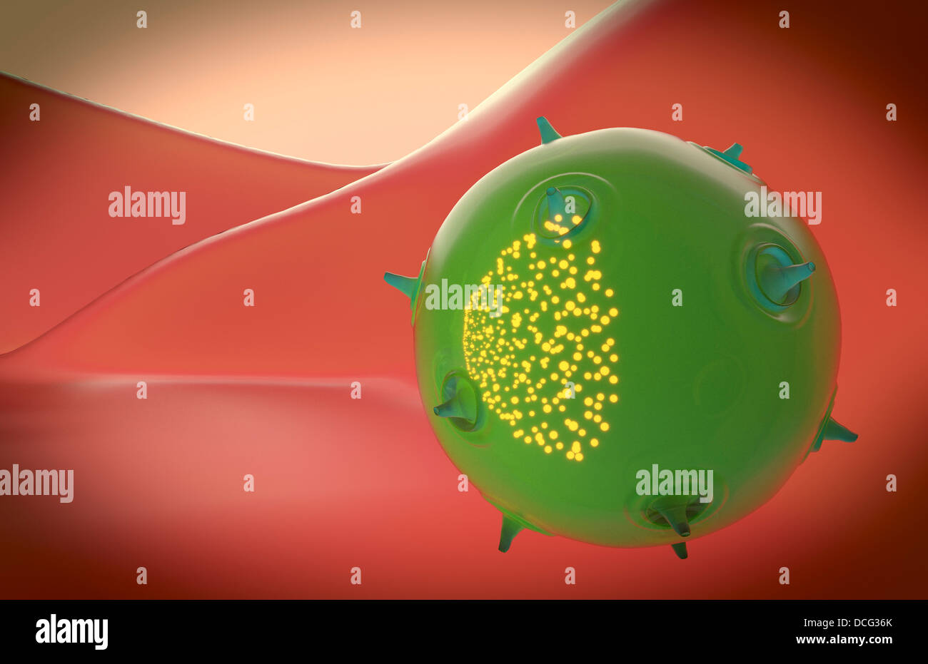 Una delle cellule killer naturali del sistema immunitario innato. Il giallo particelle all'interno della cella rappresenta la tossina. Foto Stock