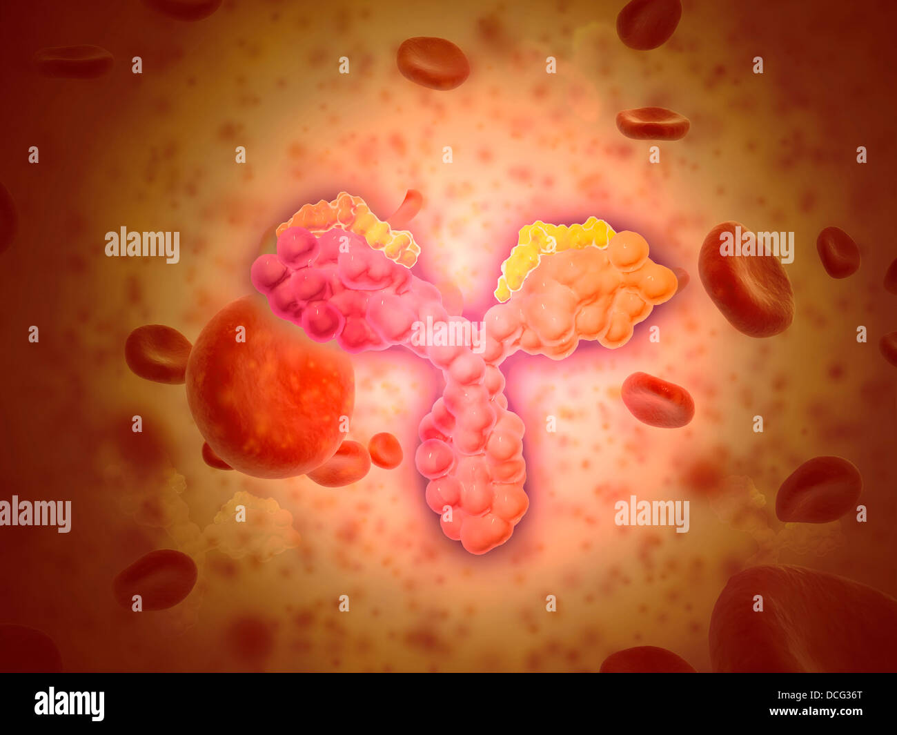 Vista microscopico di anitbodies umana con cellule di sangue rosse. Foto Stock