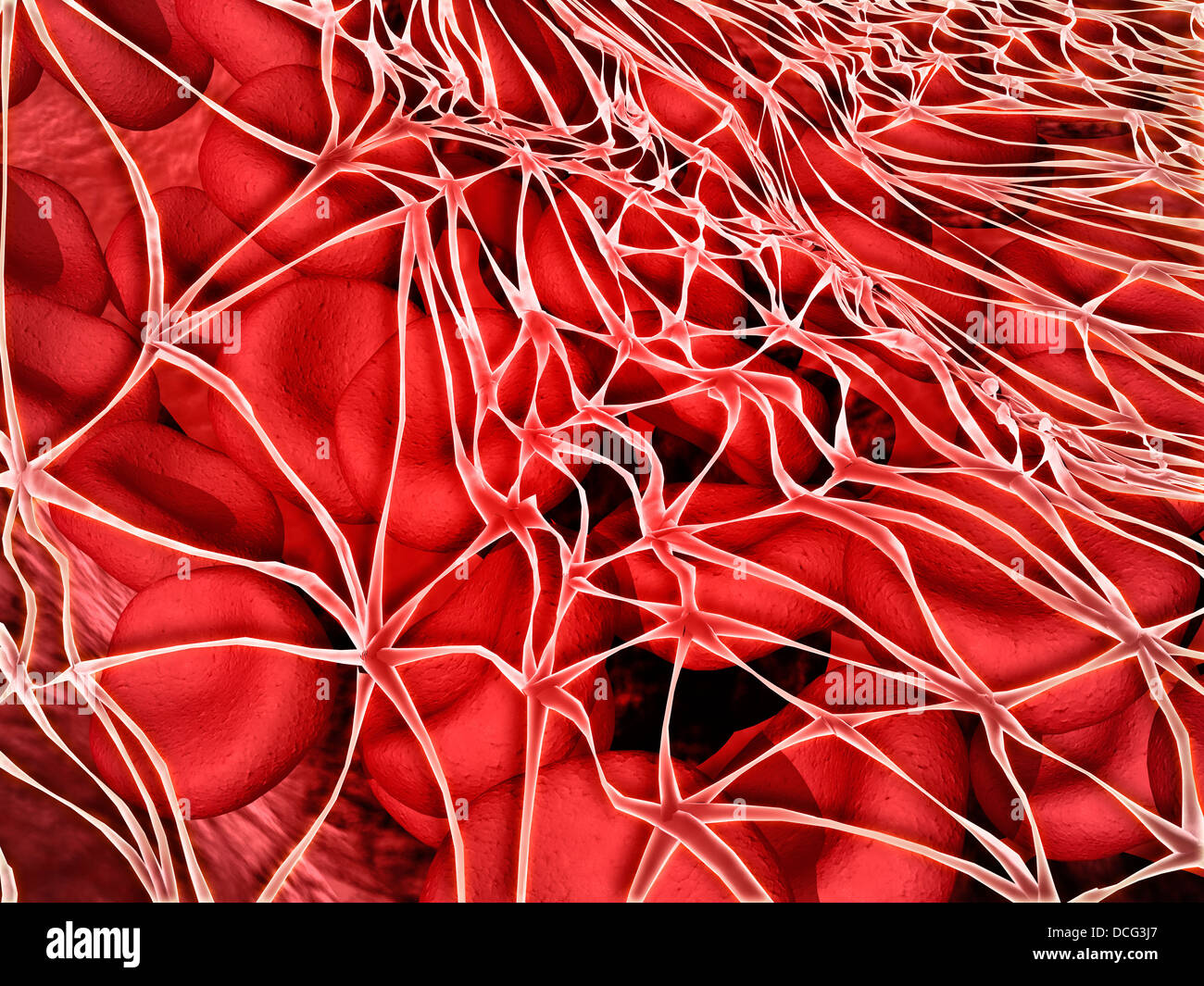 Immagine concettuale di cellule rosse del sangue con fibrina. Foto Stock