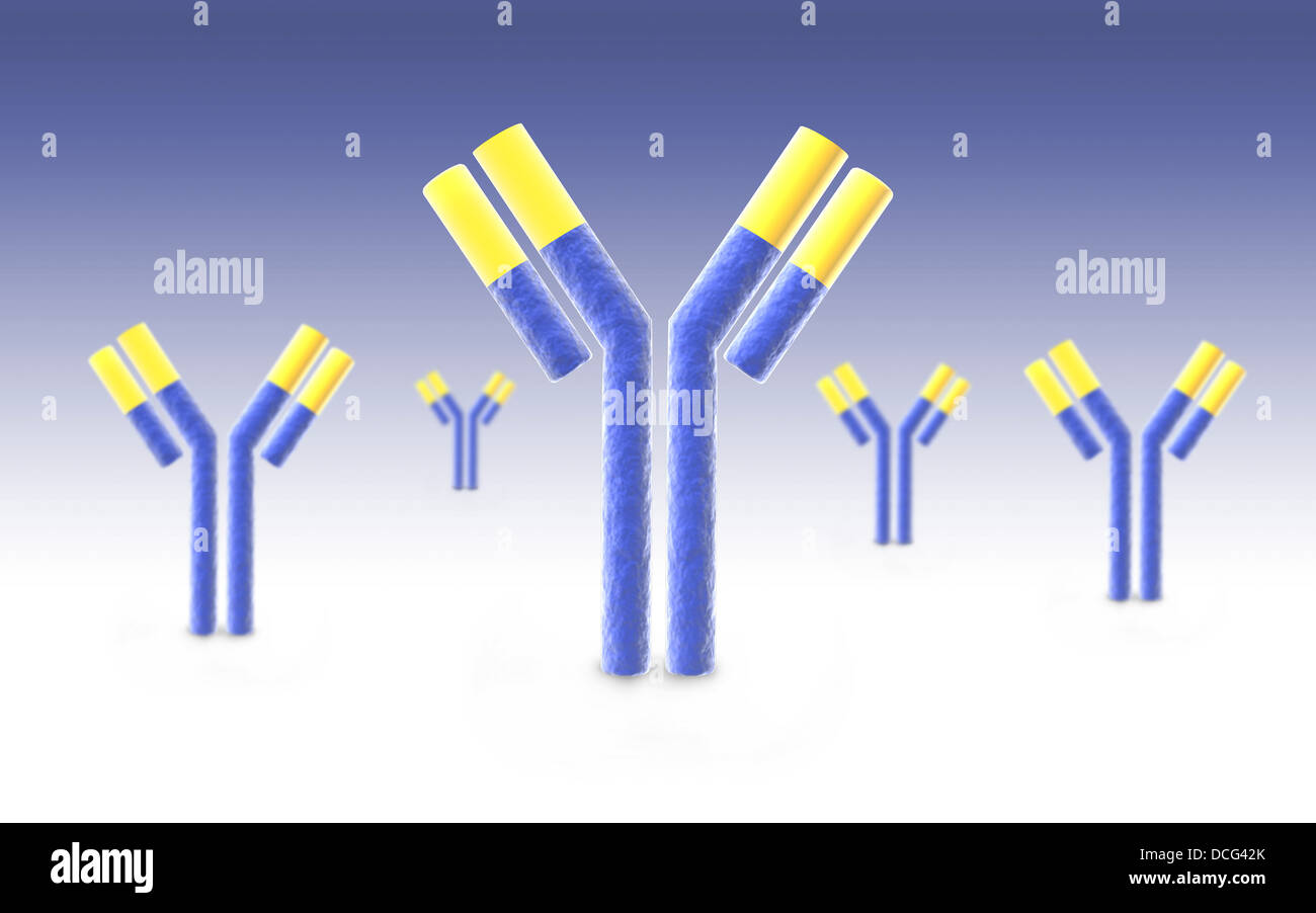 Immagine concettuale di un anticorpo. Foto Stock