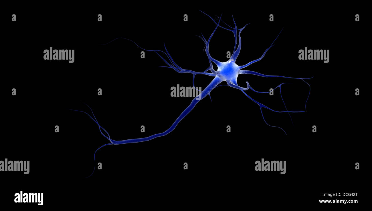 Immagine concettuale di un neurone. Foto Stock