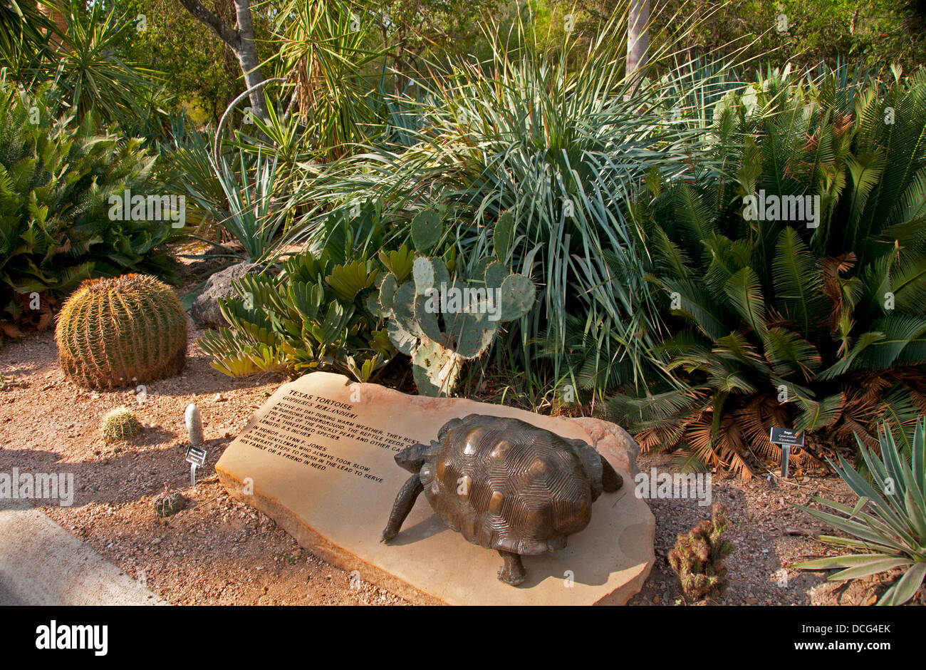 Texas scultura tartaruga sul sentiero natura a Quinta Mazatlan, McAllen, Texas Foto Stock