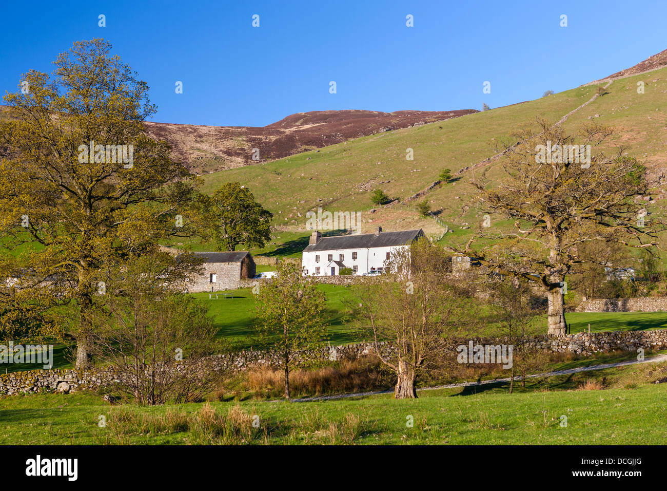 Paesaggio pennini vicino a Borrowdale, Parco Nazionale del Distretto dei Laghi, Cumbria, Regno Unito, Europa. Foto Stock