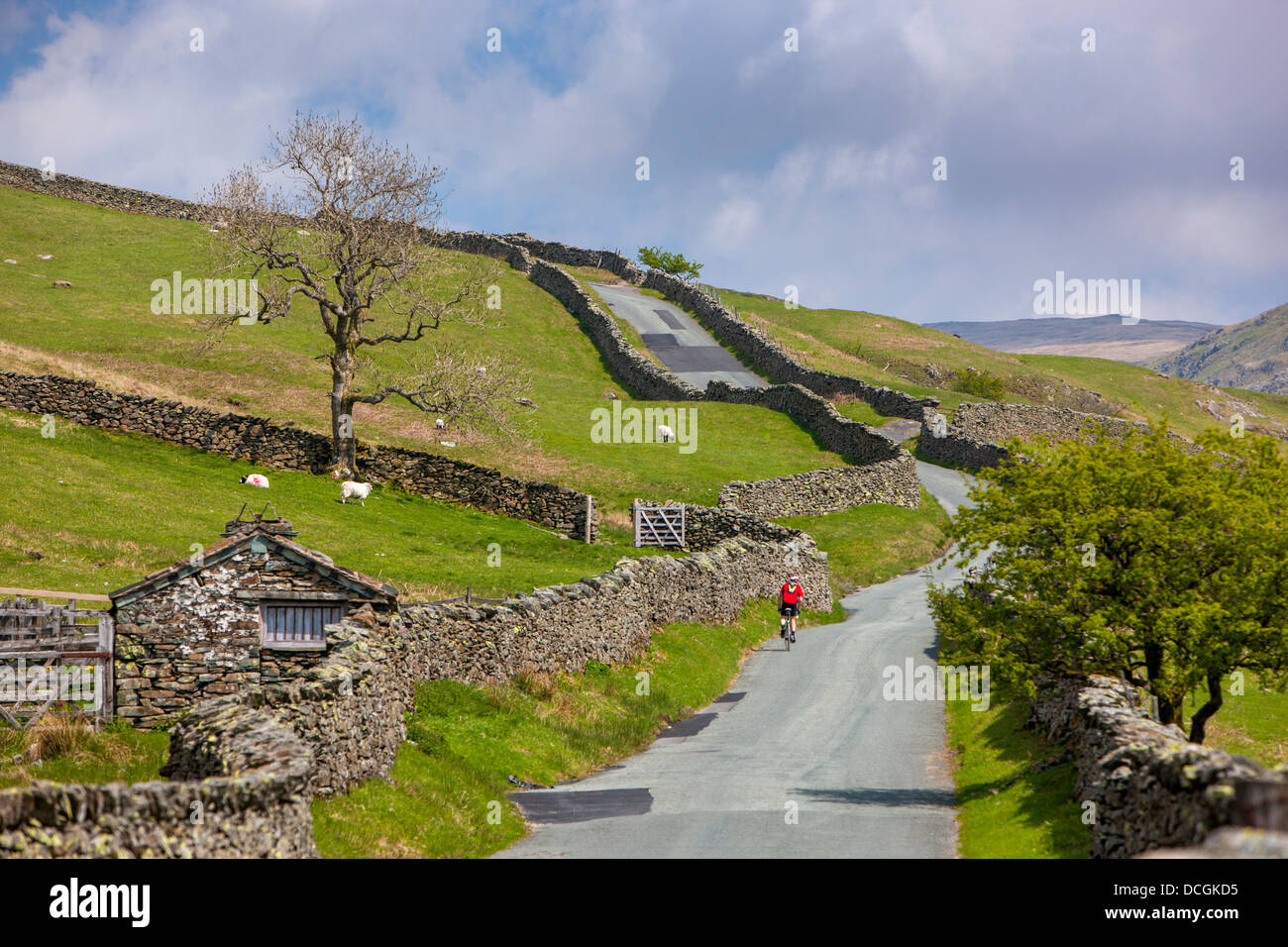 Kirkstone road, Parco Nazionale del Distretto dei Laghi, Cumbria, Regno Unito, Europa. Foto Stock