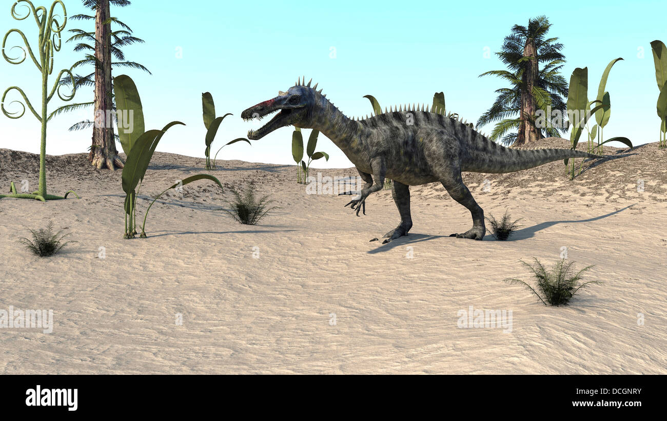 Suchomimus camminando attraverso un deserto. Foto Stock