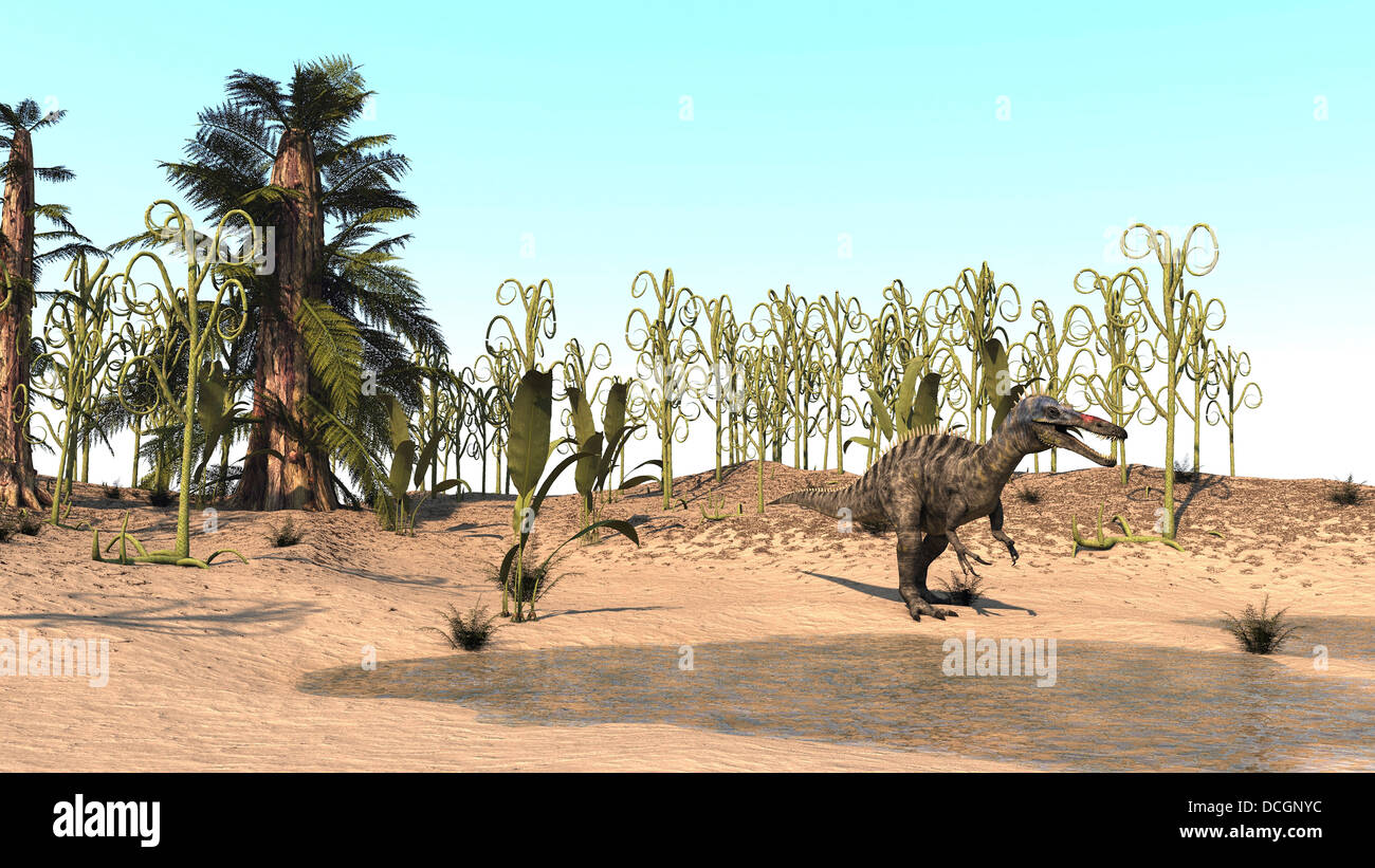 Suchomimus a piedi attraverso un ambiente desertico. Foto Stock