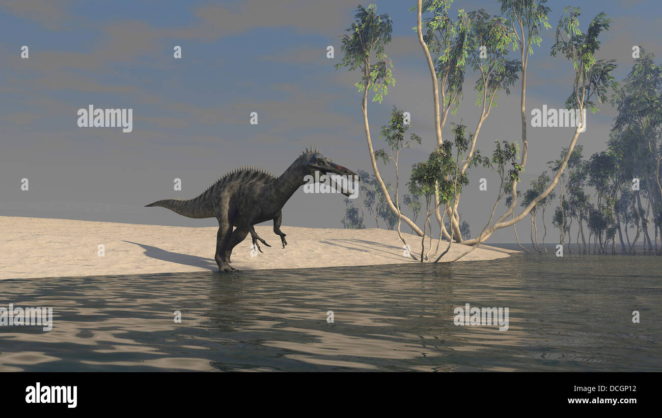 Suchomimus a caccia di cibo a bordo di un lago. Foto Stock