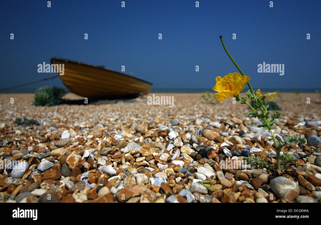 Piccola barca da pesca che giace sulla spiaggia di Dungeness Foto Stock