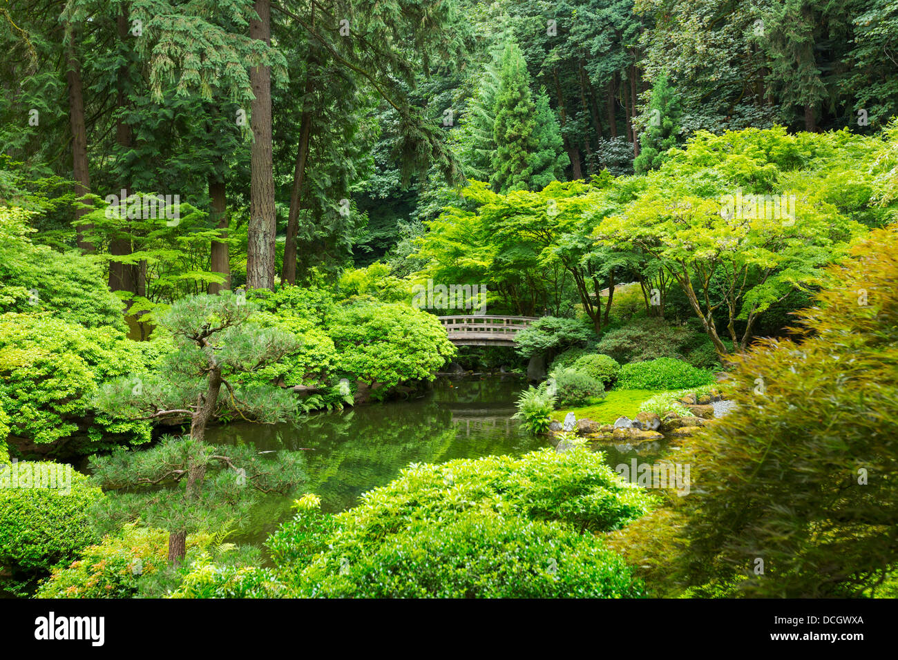 Bella giapponese Giardino Zen Foto Stock