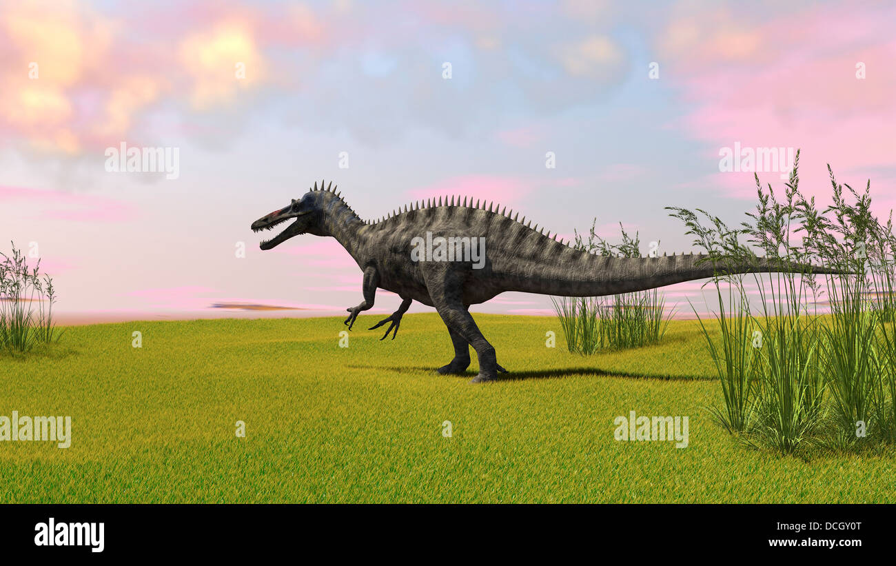 Suchomimus camminare attraverso un campo erboso. Foto Stock