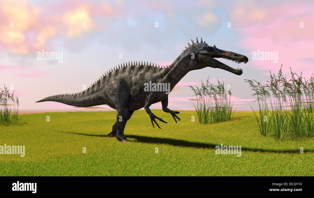 Suchomimus camminare attraverso un campo erboso. Foto Stock