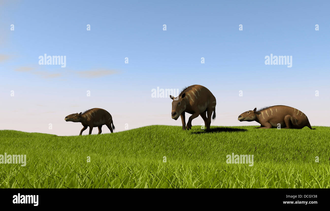 Il pascolo Eurohippus praterie preistoriche. Foto Stock