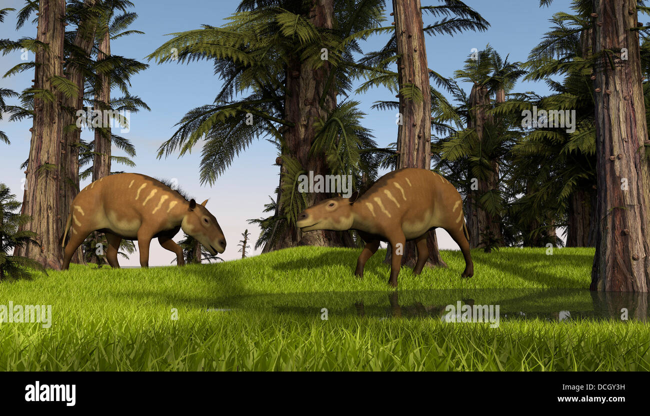 Due Eurohippus pascolo lungo una vicina palude. Foto Stock