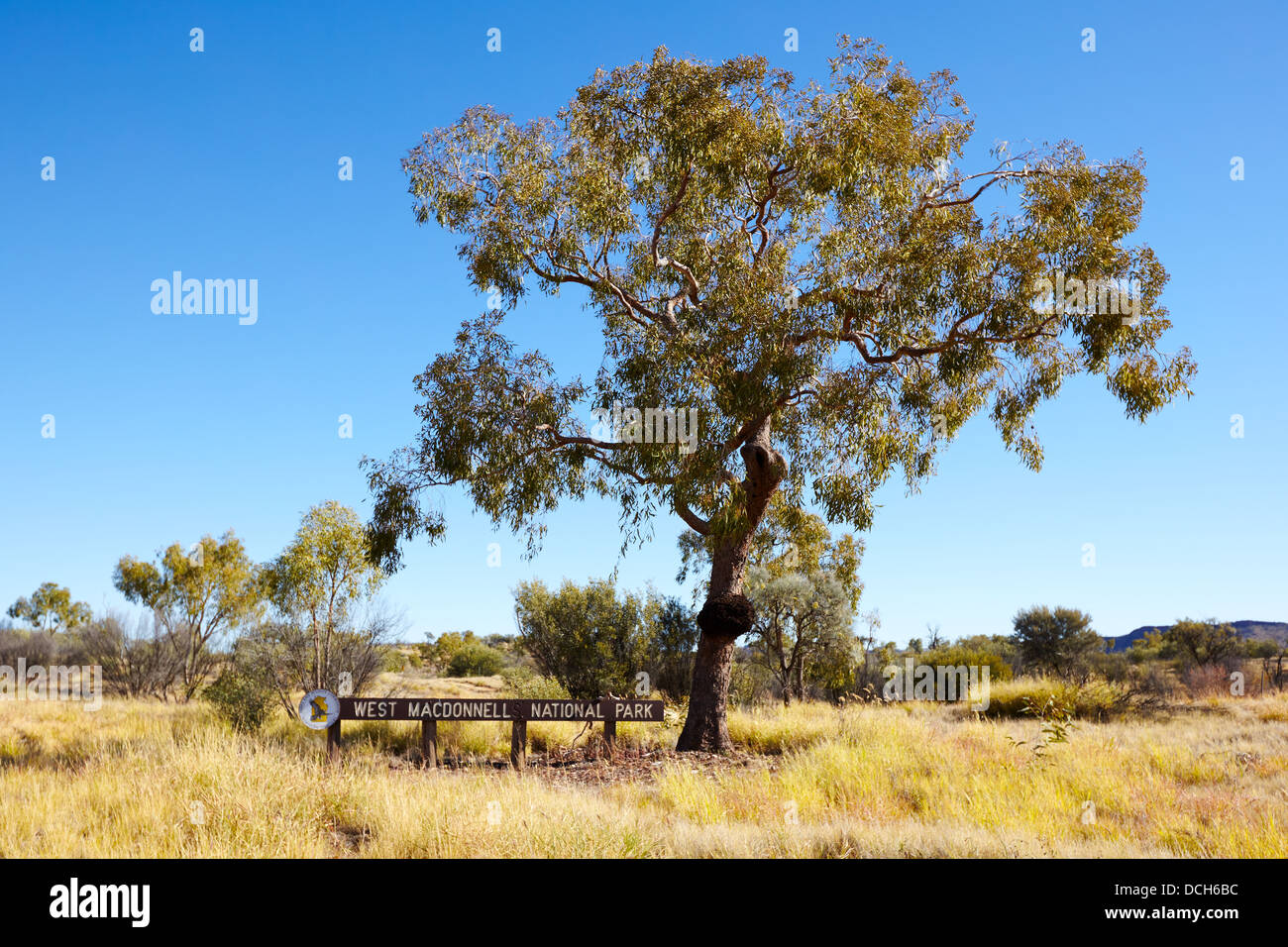 West MacDonnell National Park, Australia Foto Stock