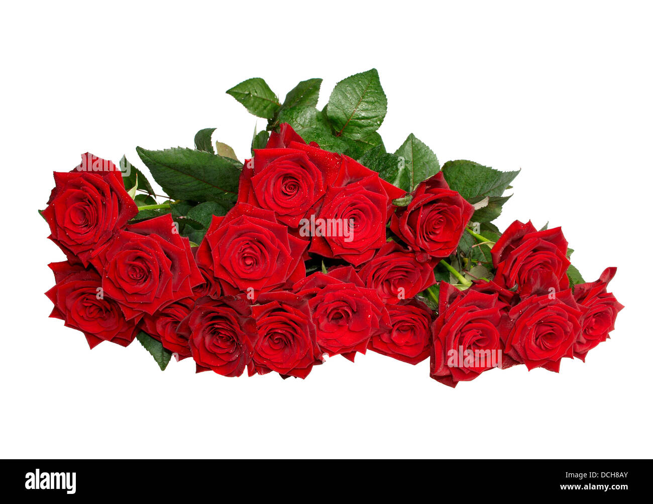 Mazzo di rose rosse isolato su bianco Foto Stock