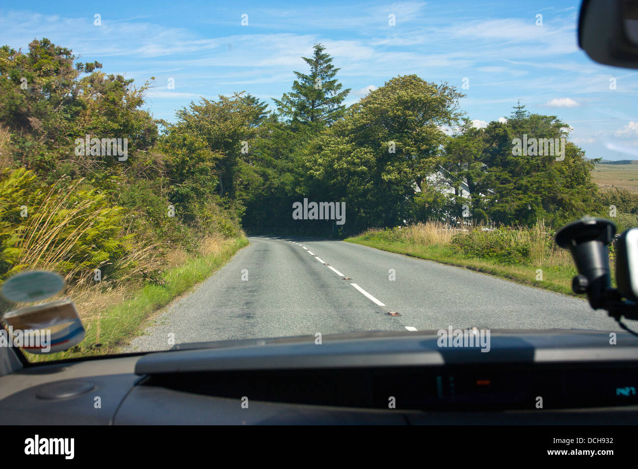 Campagna, cielo blu e tunnel di alberi di fronte strada nel Regno Unito Foto Stock