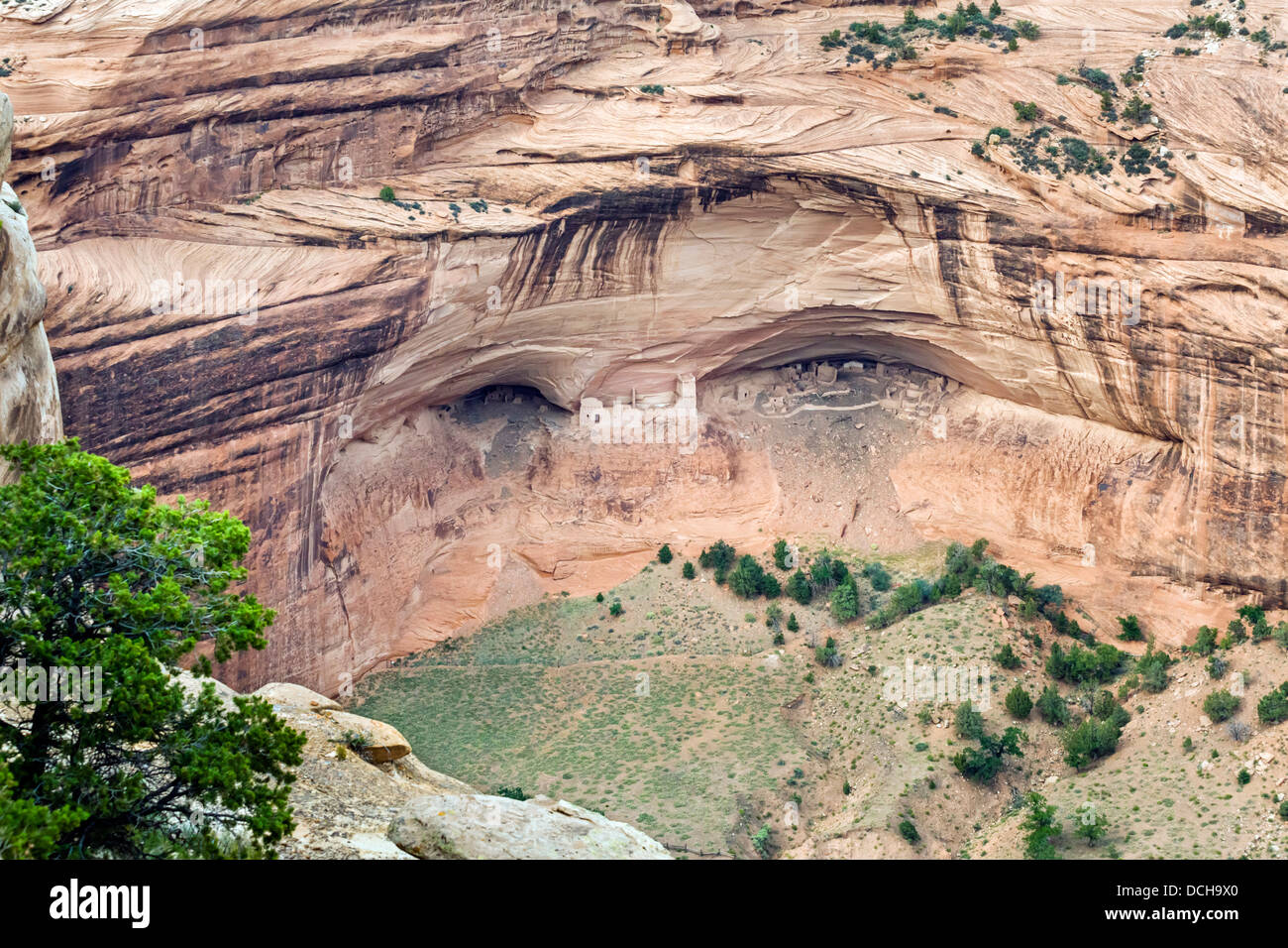 Il 'Mfalse Cave' rovine Anasazi, visto dal bordo settentrionale al Canyon De Chelly National Monument, Chinle Arizona, Stati Uniti d'America Foto Stock