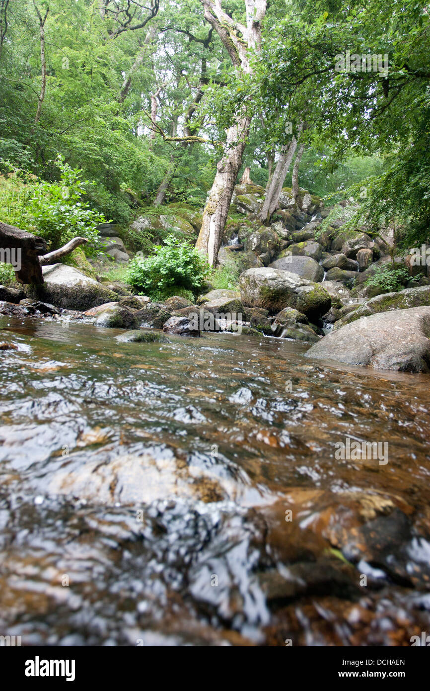 Nel mezzo di un fiume britannico Foto Stock