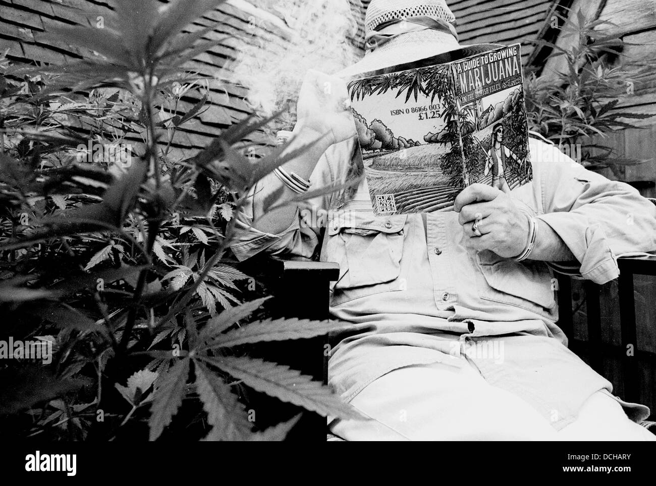 Un uomo la lettura su come far crescere la marijuana Foto Stock