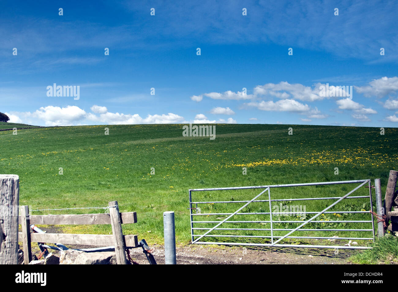 Cielo di Derbyshire buttercup campi Foto Stock