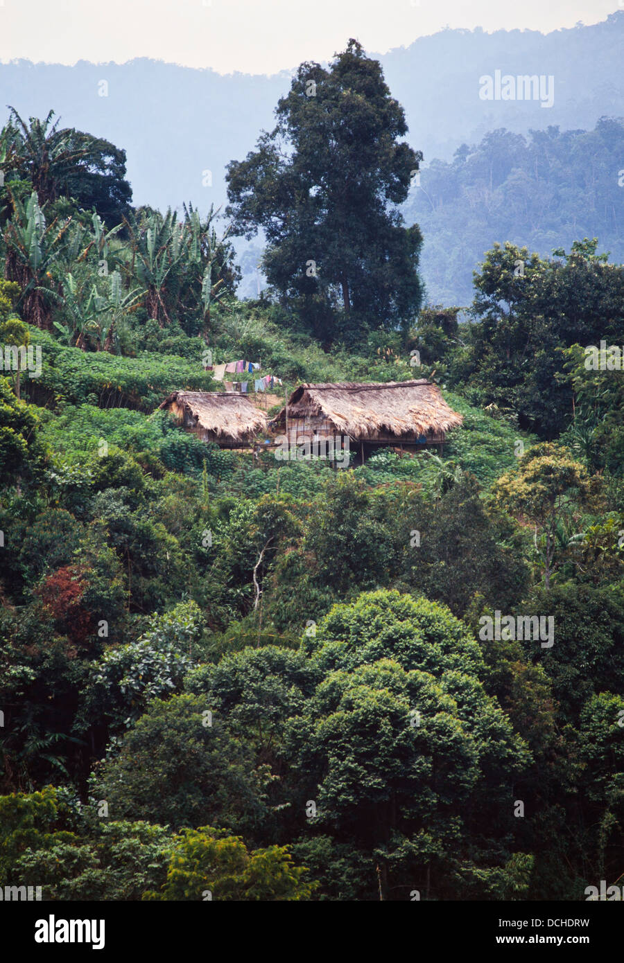 Orang Asli insediamento nella foresta pluviale malese margini, Pahang, Malaysia Foto Stock