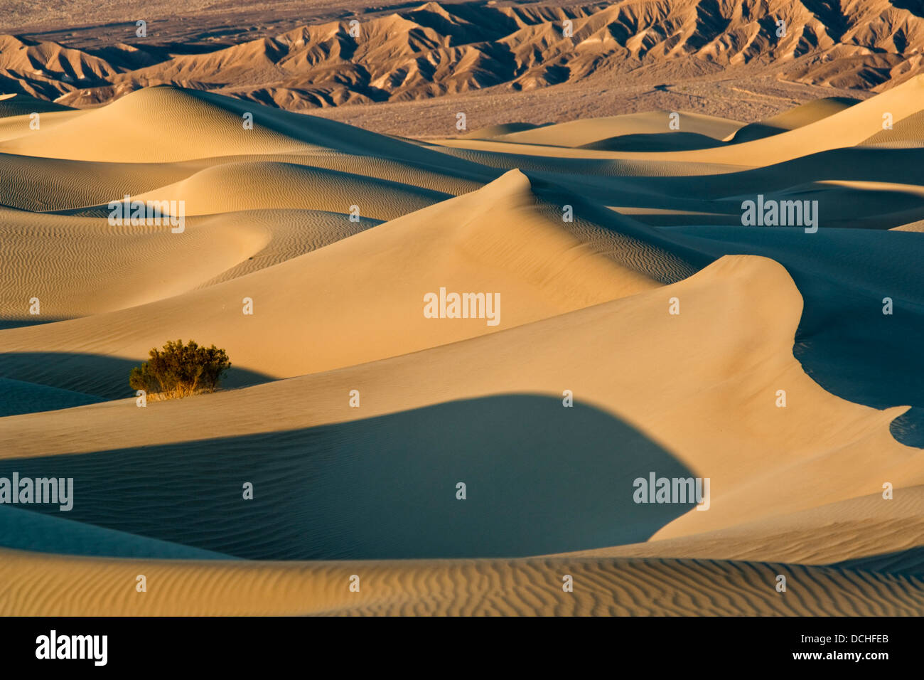 Mesquite dune di sabbia, vicino a tubo da stufa di pozzi, Parco Nazionale della Valle della Morte, California Foto Stock