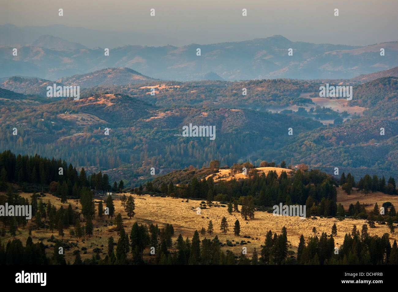 La luce del mattino su colline ai piedi del versante occidentale della Sierra, Fresno County, California Foto Stock