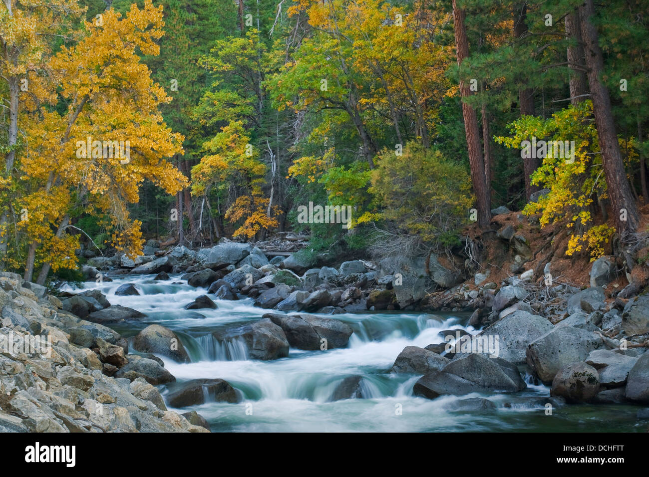 Forcella a sud del Fiume dei Re, Kings Canyon, Fresno County, California Foto Stock