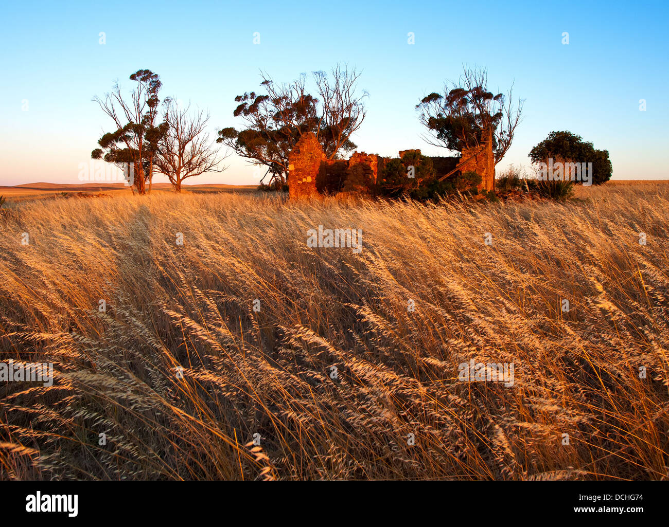 Vecchia fattoria abbandonata casa homestead siede abbandonata nel mezzo di un paddock nella metà del nord del Sud Australia Foto Stock
