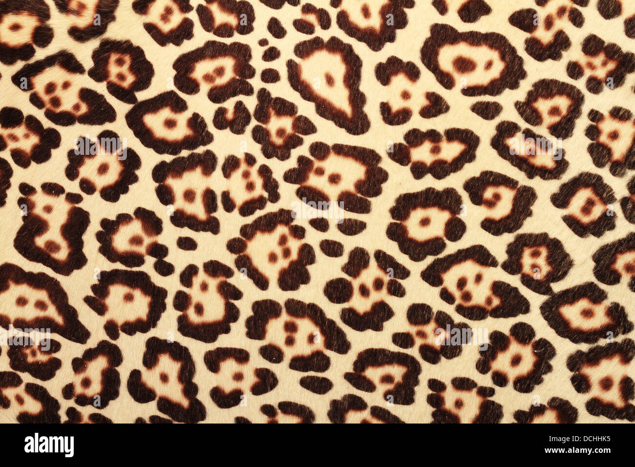 Modello dettagliato della reale pelliccia di Leopard Foto Stock