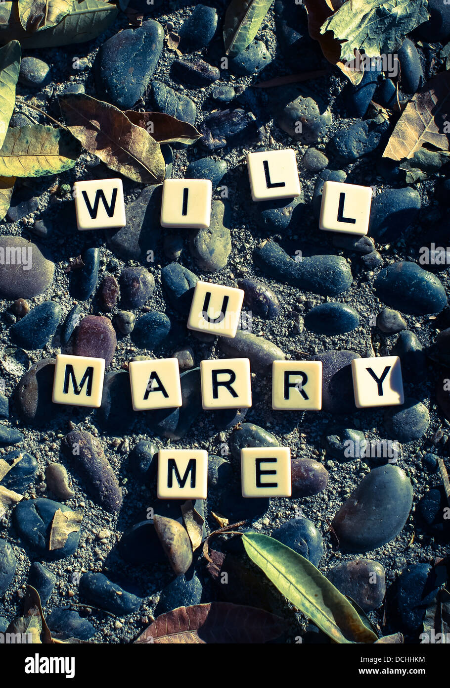 Le parole Ti sposerà me scritto su pietre ghiaia. Foto Stock
