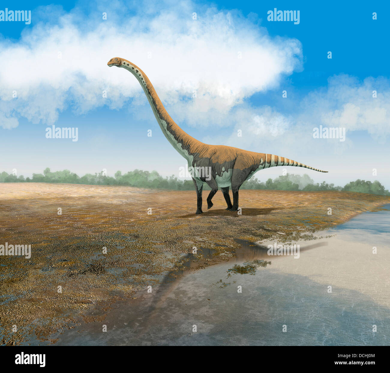 Il Euhelopus sauropod, Omeisaurus tianfuensis, dal Medio Giurassico dell Asia. Foto Stock