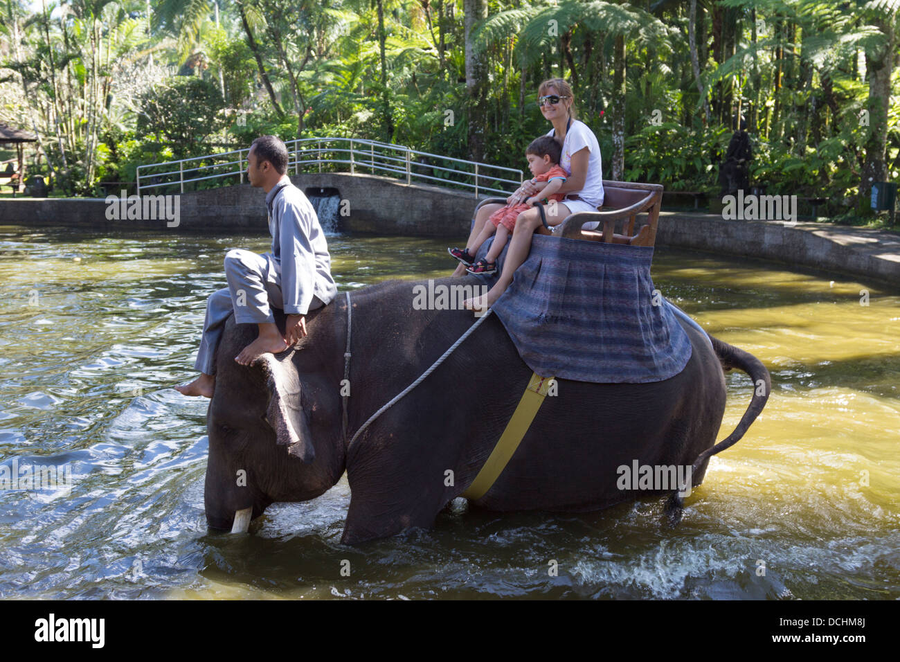 Elephant Safari Park - Bali - Indonesia Foto Stock