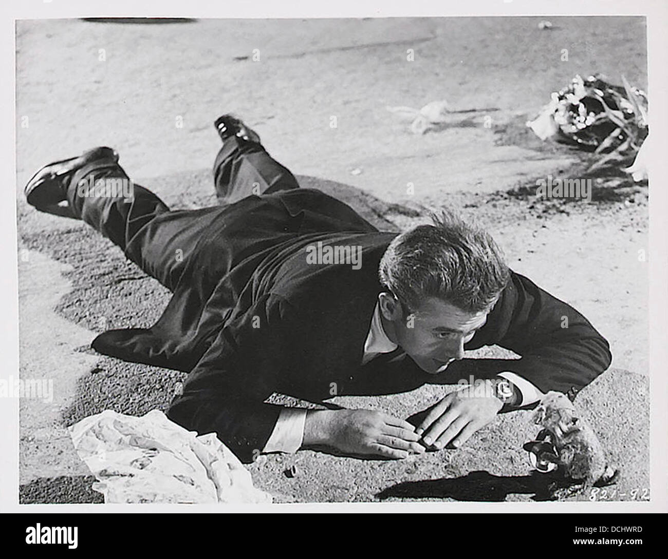 Ribelle senza una causa - James Dean - diretto da Nicholas Ray - Warner Bros 1955 Foto Stock