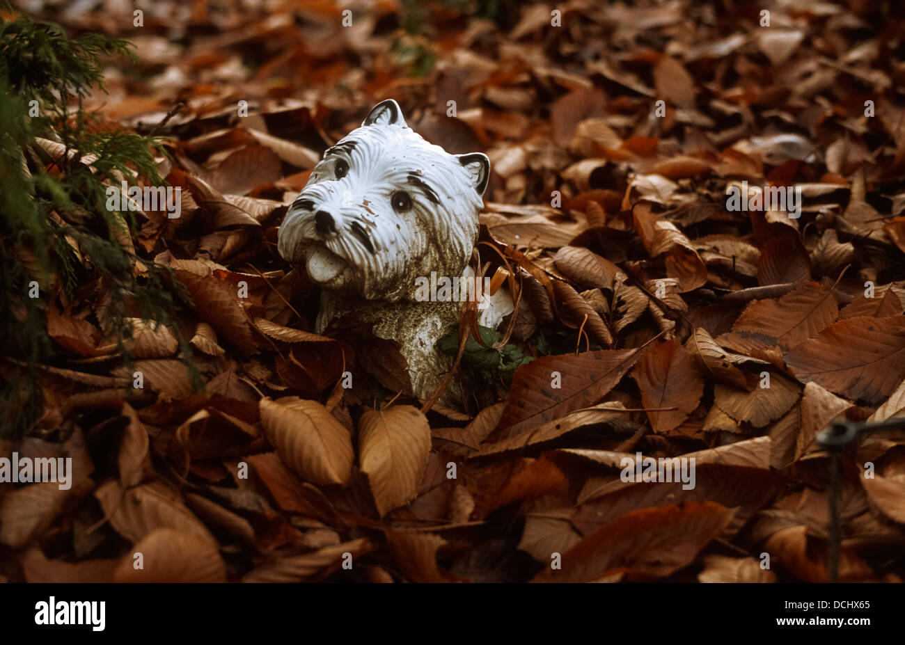 La porcellana West Highland Terrier segna un pet la tomba di Weingarten, Germania Foto Stock