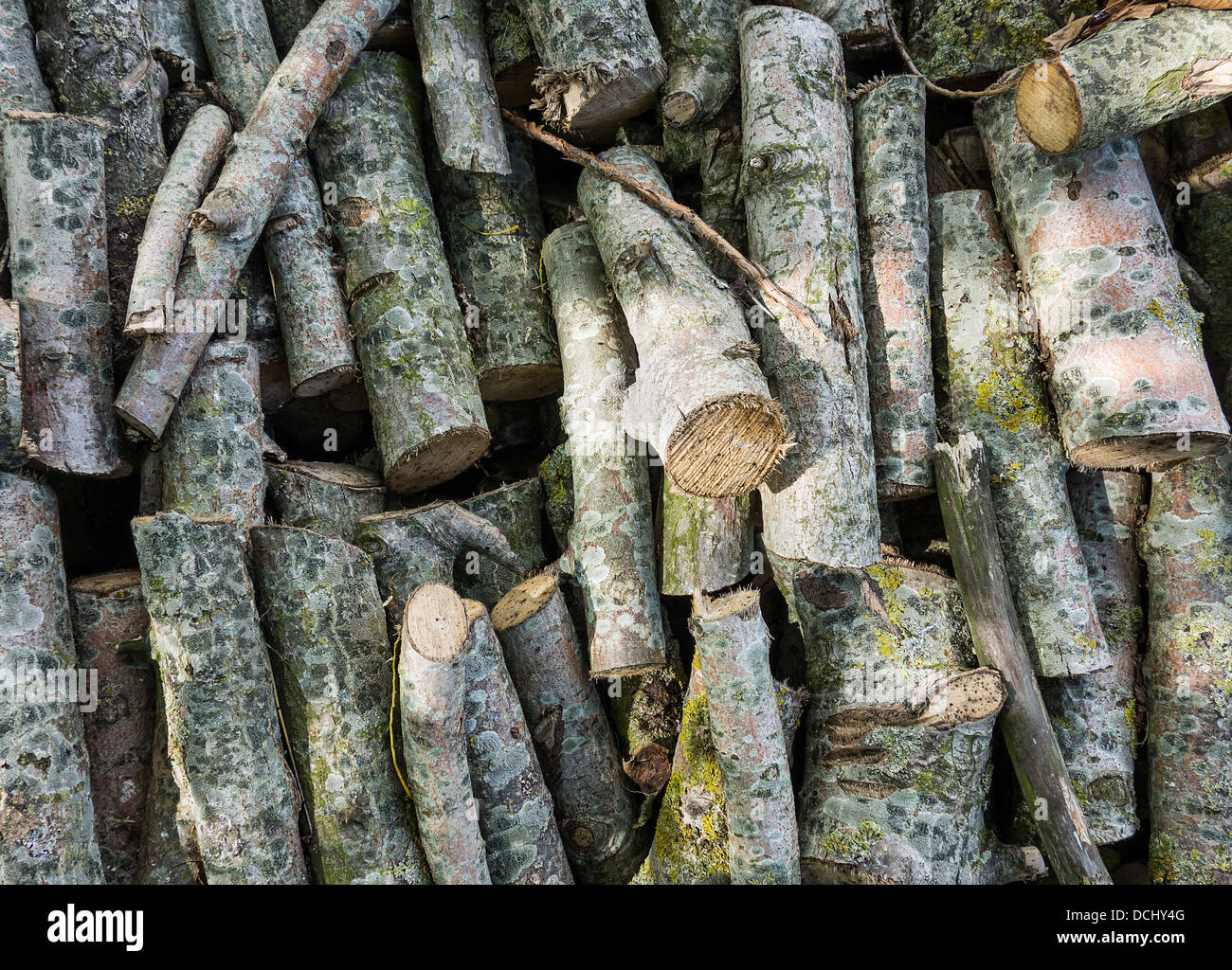 Palo di legno Registro registri pila combustibile invernale Foto Stock