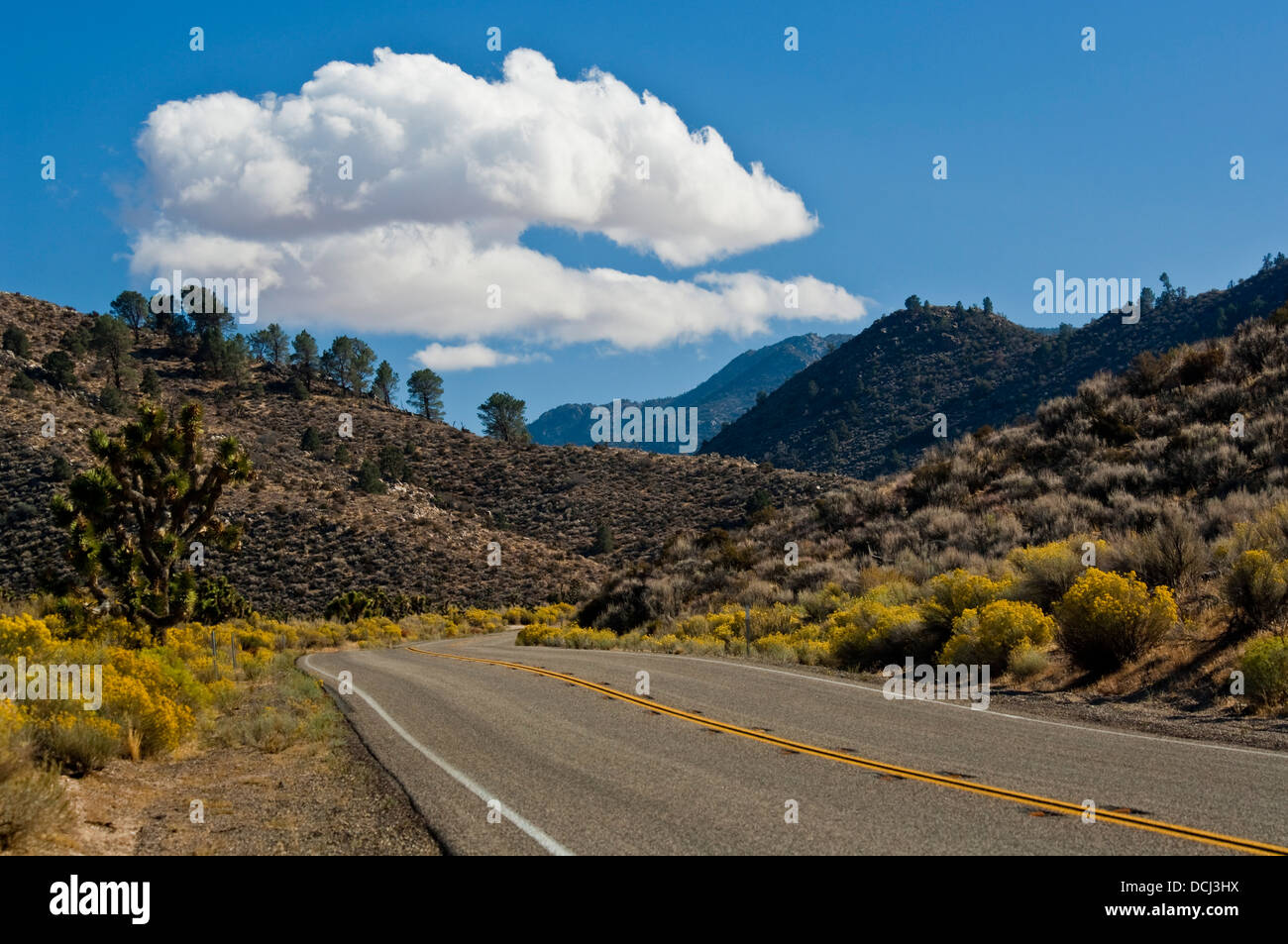Autostrada Route 178 vicino a Walker Pass, Kern County, California Foto Stock