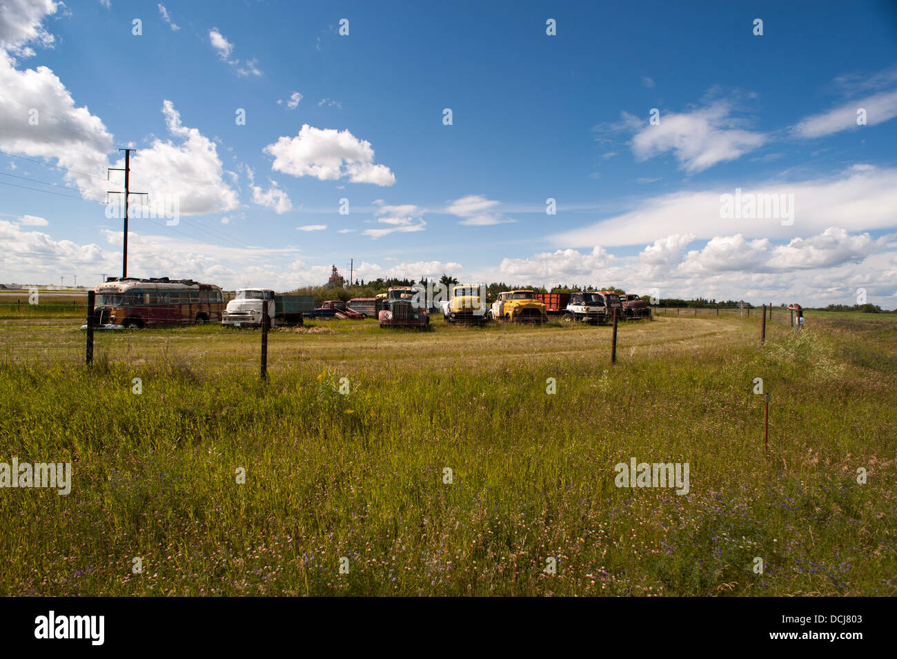 Ragazza di scattare una foto di un cimitero di auto in Saskatchewan Foto Stock