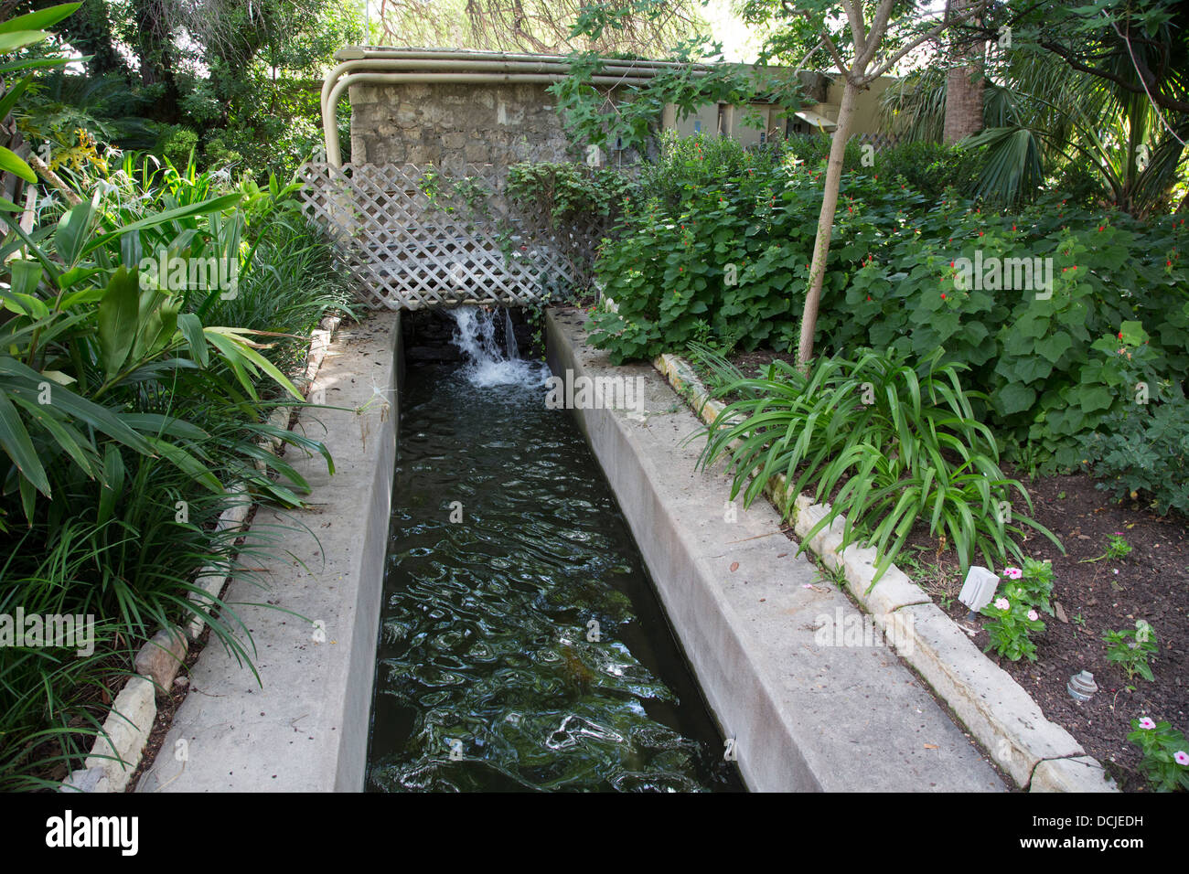 Acequia (irrigazione) sui terreni della Alamo Foto Stock