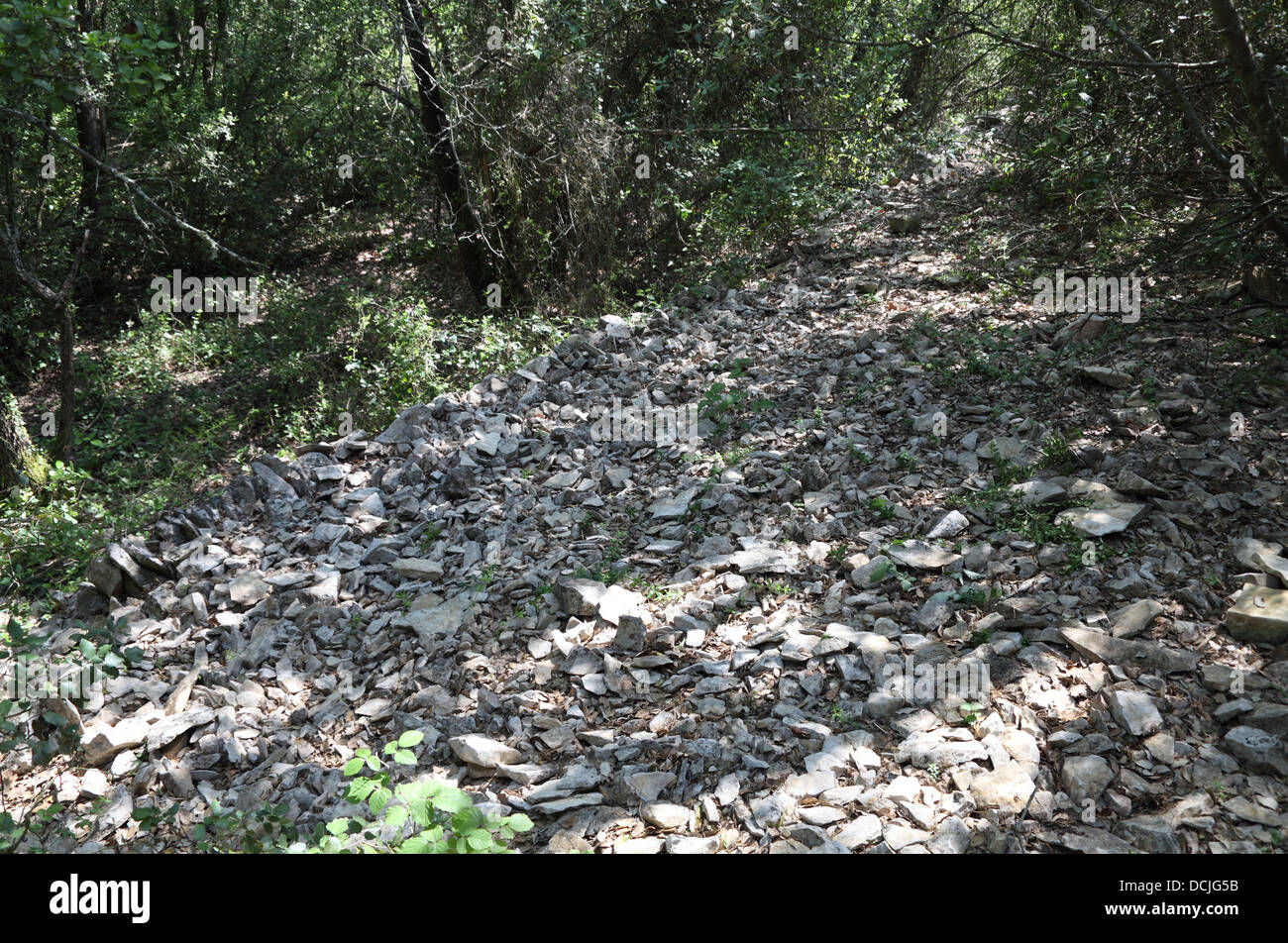 Preromana stone percorso nel bosco vicino Congenies, Gard, Francia Foto Stock
