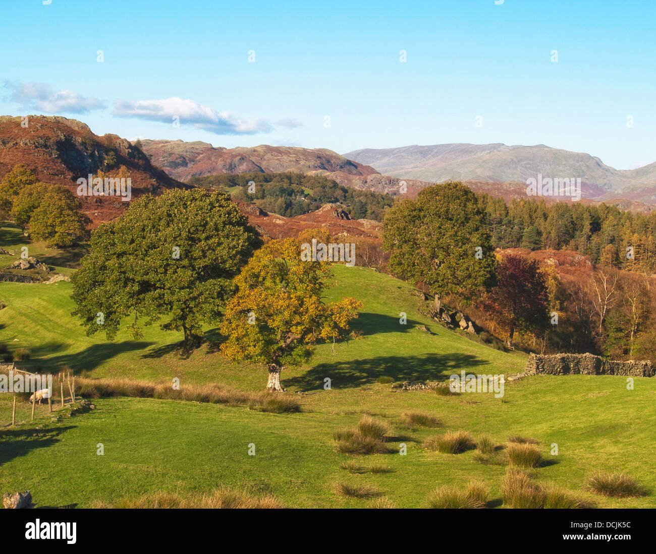 Fells intorno Hodge ha chiudere in autunno, Cumbria, Regno Unito Foto Stock