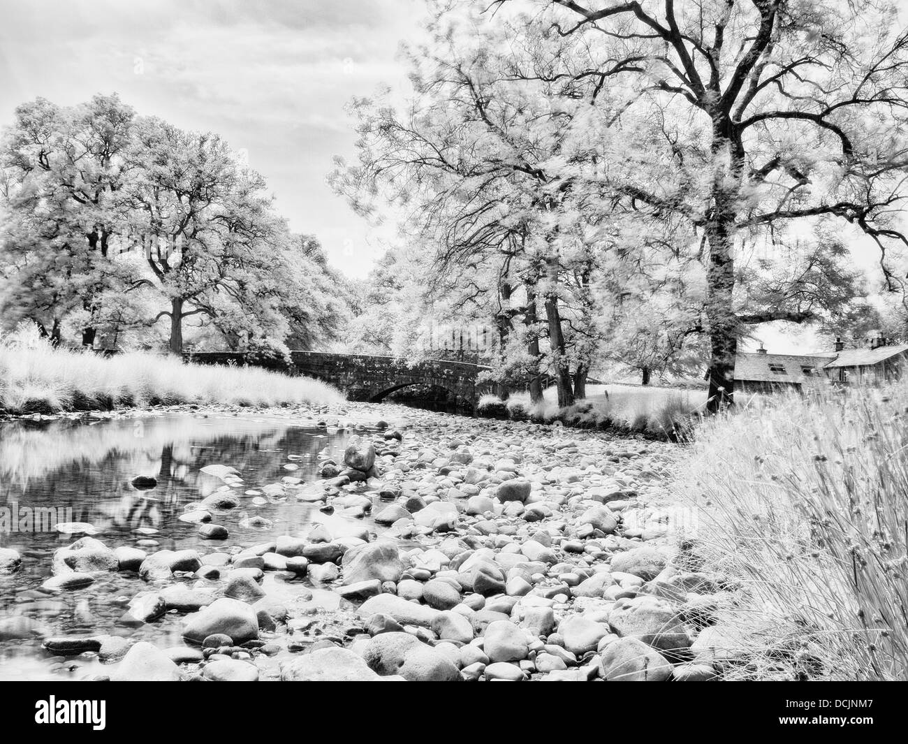 Infrarossi, Fiume Wyre, Abbeystead, Lancashire, Regno Unito Foto Stock