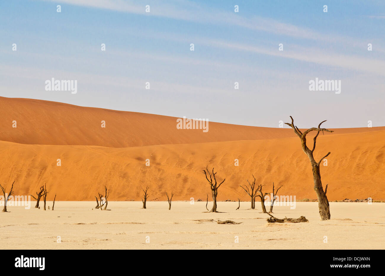 Gli alberi morti nell'argilla pan di Deadvlei in Namibia Foto Stock
