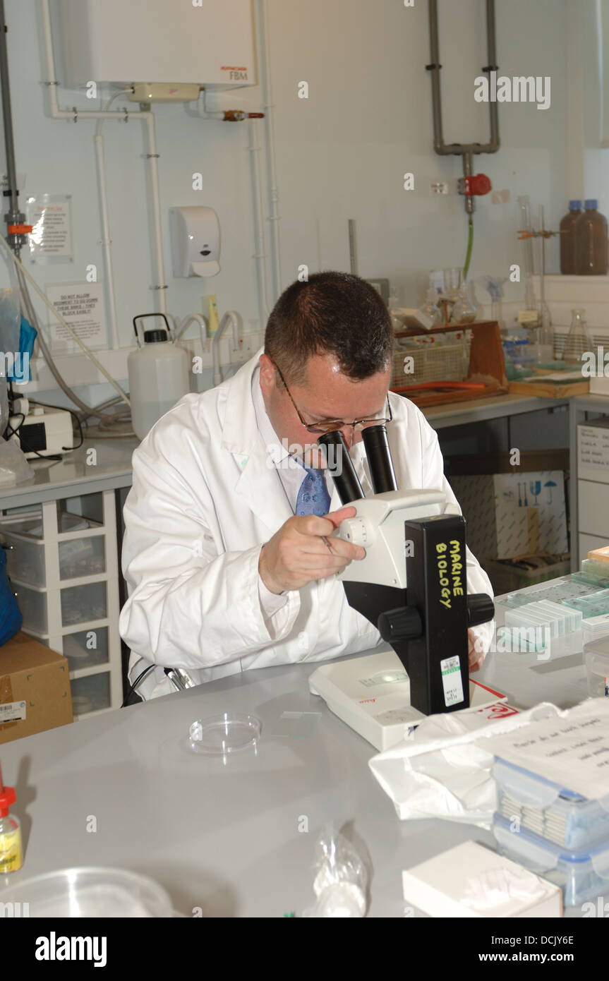 Uno scienziato utilizzando un microscopio ad intraprendere ricerche micological a Plymouth University Devon, Inghilterra, Regno Unito Foto Stock