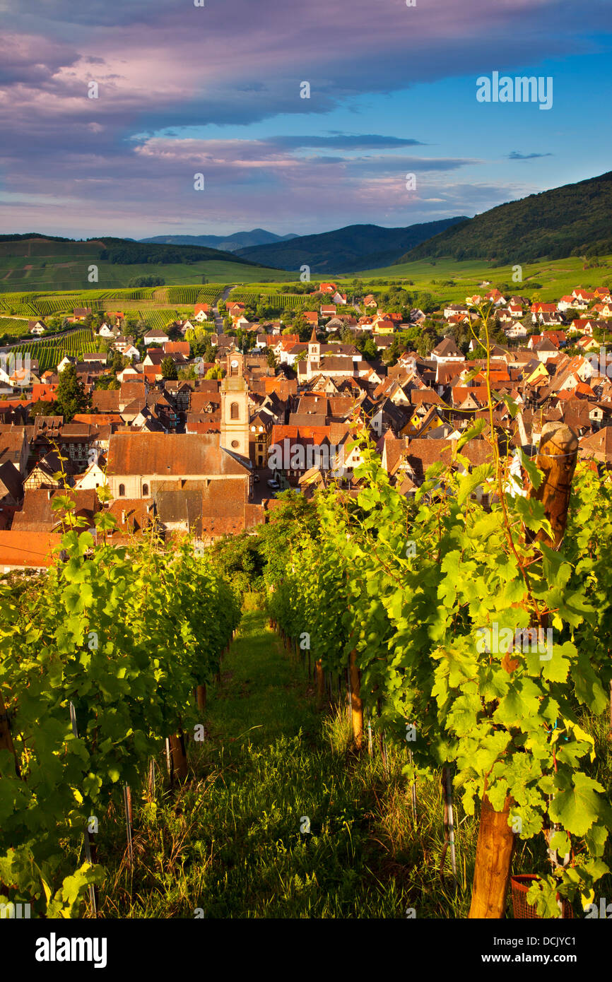 La mattina presto affacciato sul villaggio di Riquewihr, lungo la strada del vino Alsaziano Haut-Rhin Francia Foto Stock