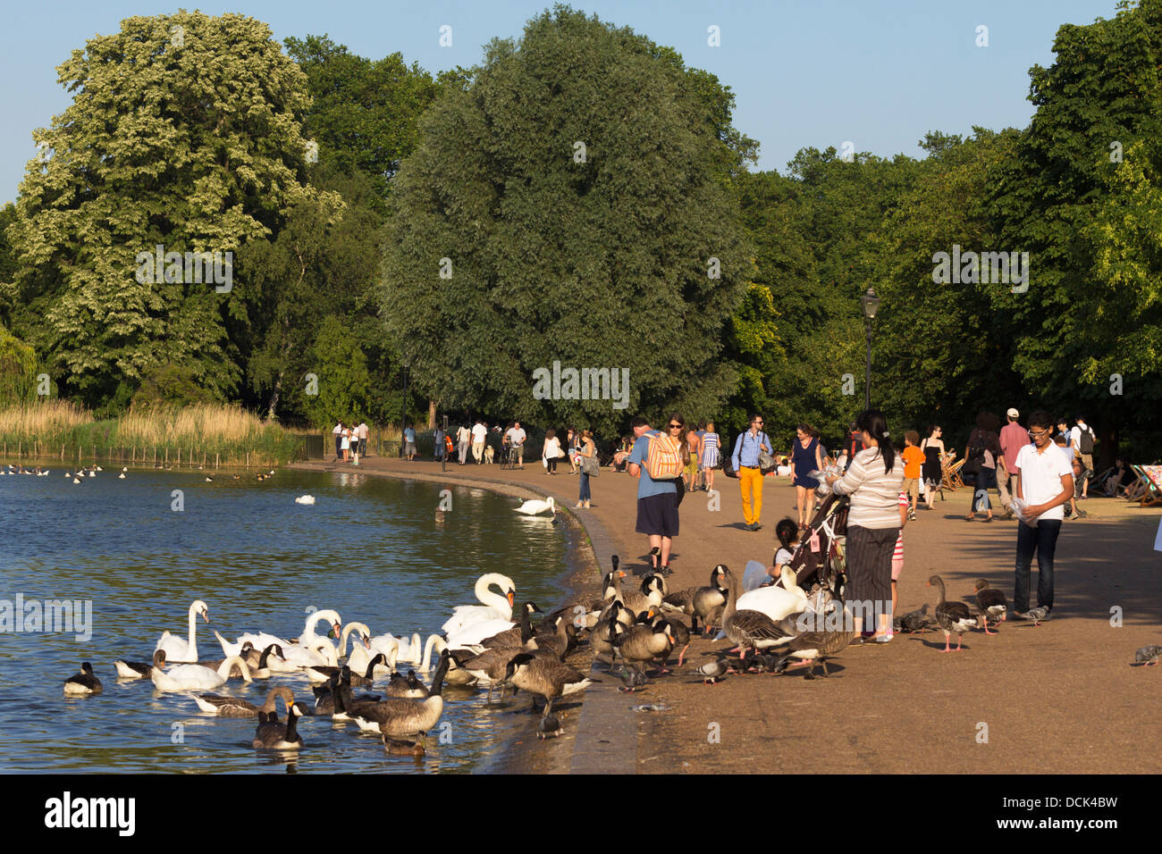 Il lago a serpentina - Hyde Park - Londra Foto Stock