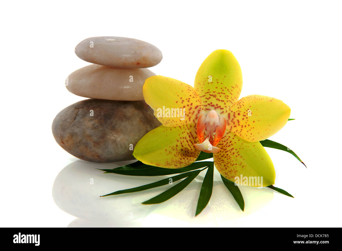 Wellness Foto Stock