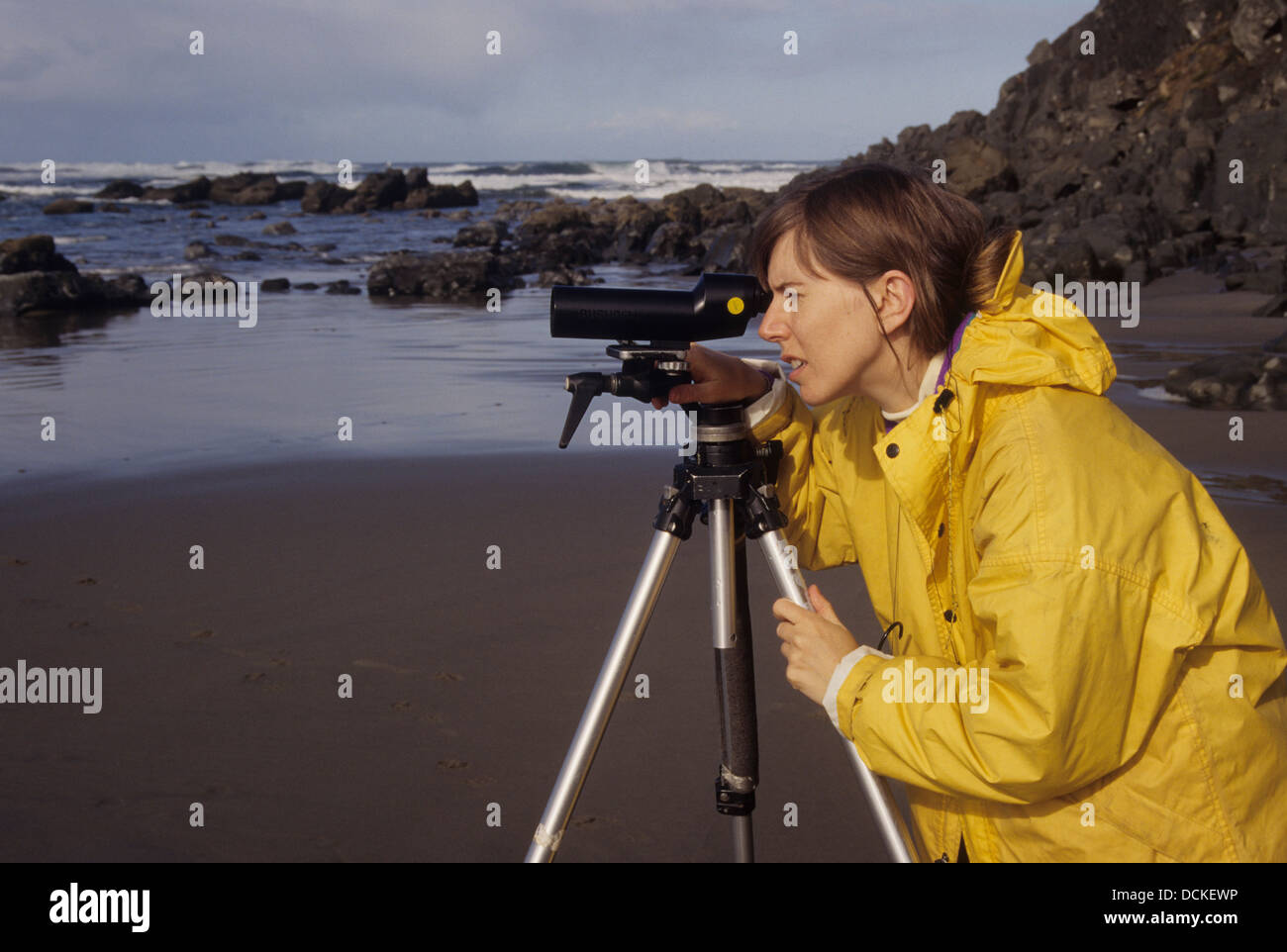 Il birdwatching, Whiskey eseguire Beach, Oregon Foto Stock