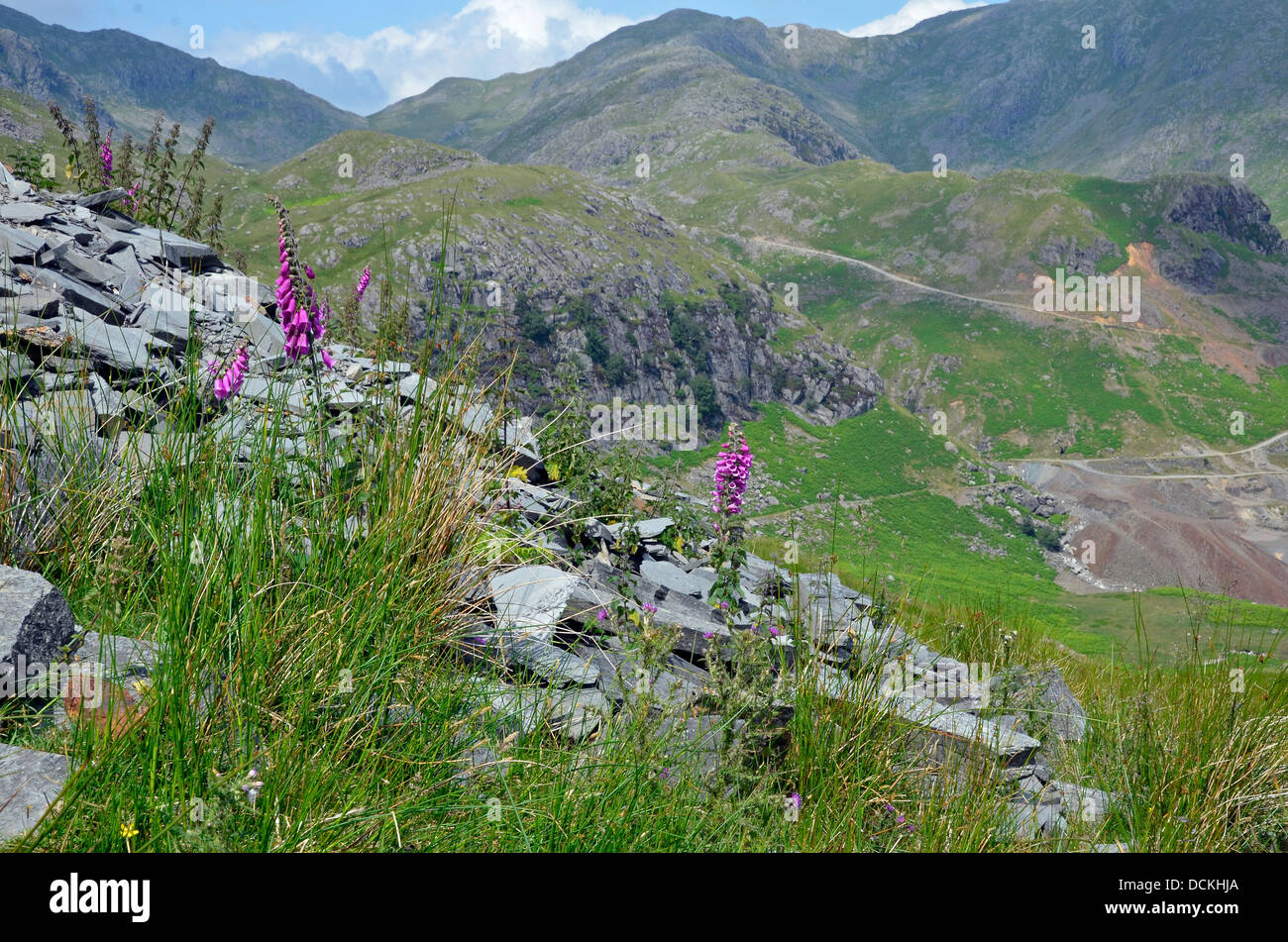 Vecchi rifiuti di miniera di suggerimenti o rovinare i mucchi sui fianchi di Coniston Old man in miniere di rame sopra la valle Coniston, Lake District. Foto Stock