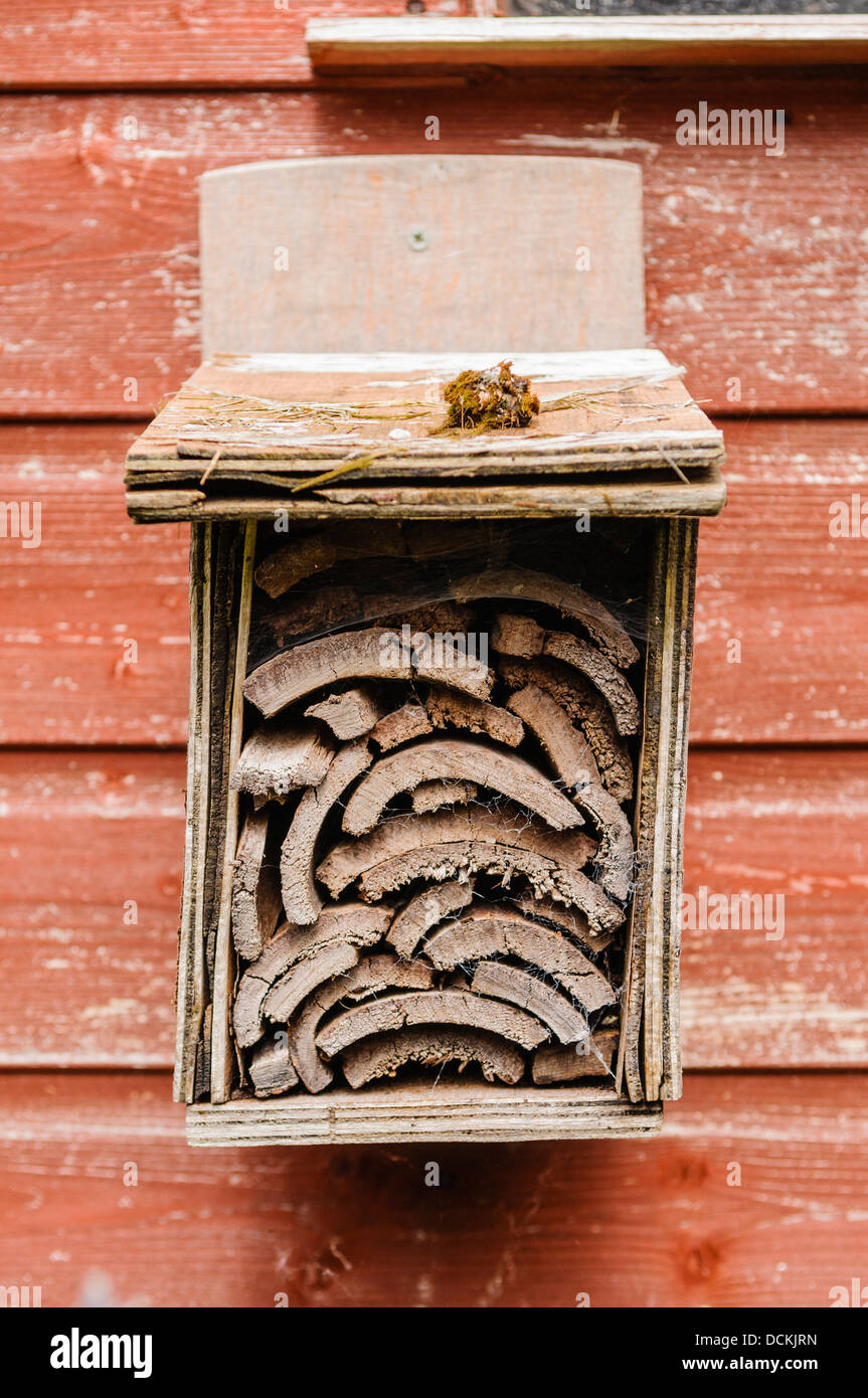 La nidificazione in legno scatola adatta per attrarre una vasta gamma di insetti. Foto Stock